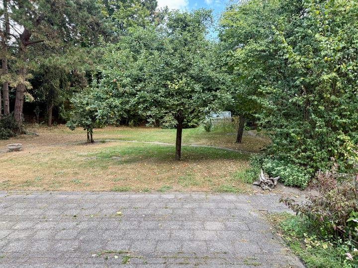 Foto 24 van Beukenlaan 2