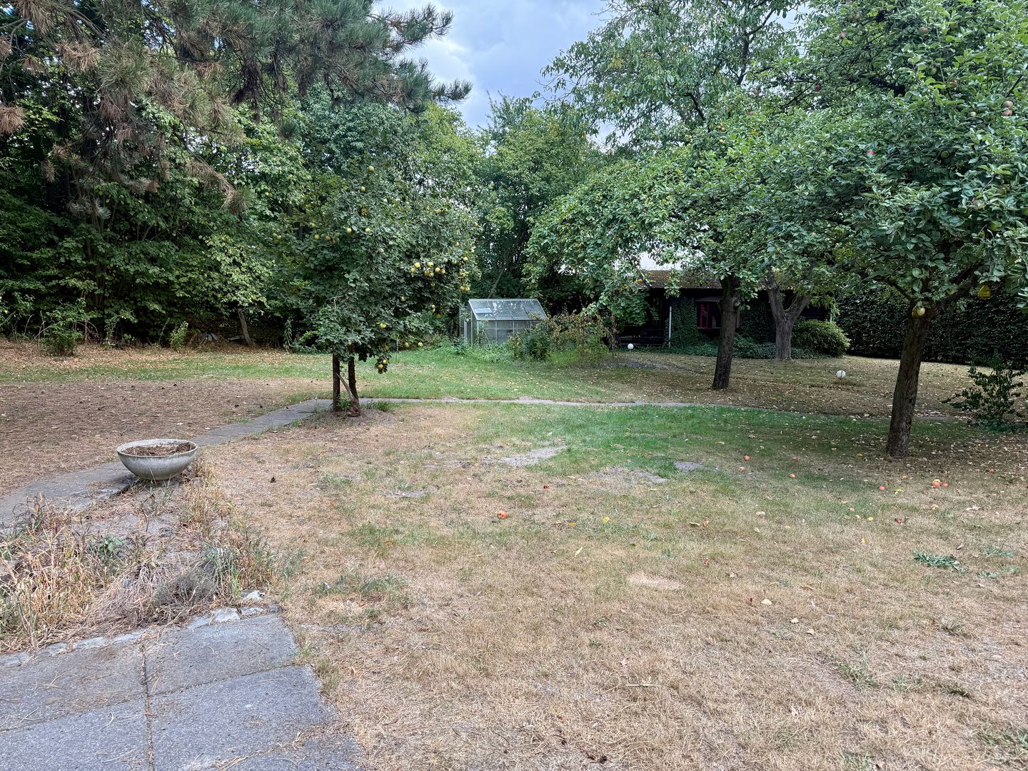 Foto 25 van Beukenlaan 2