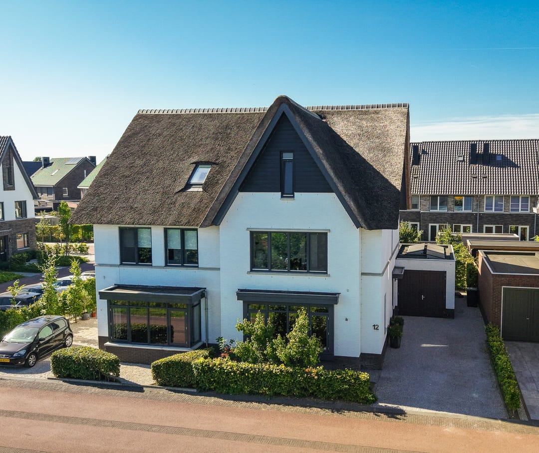 Foto 1 van Zwarte Roodstaart 12