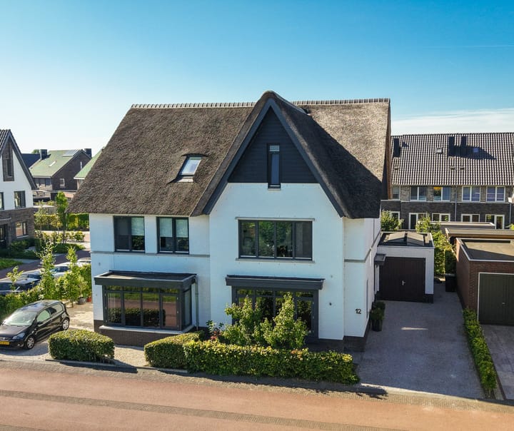 Zwarte Roodstaart 12