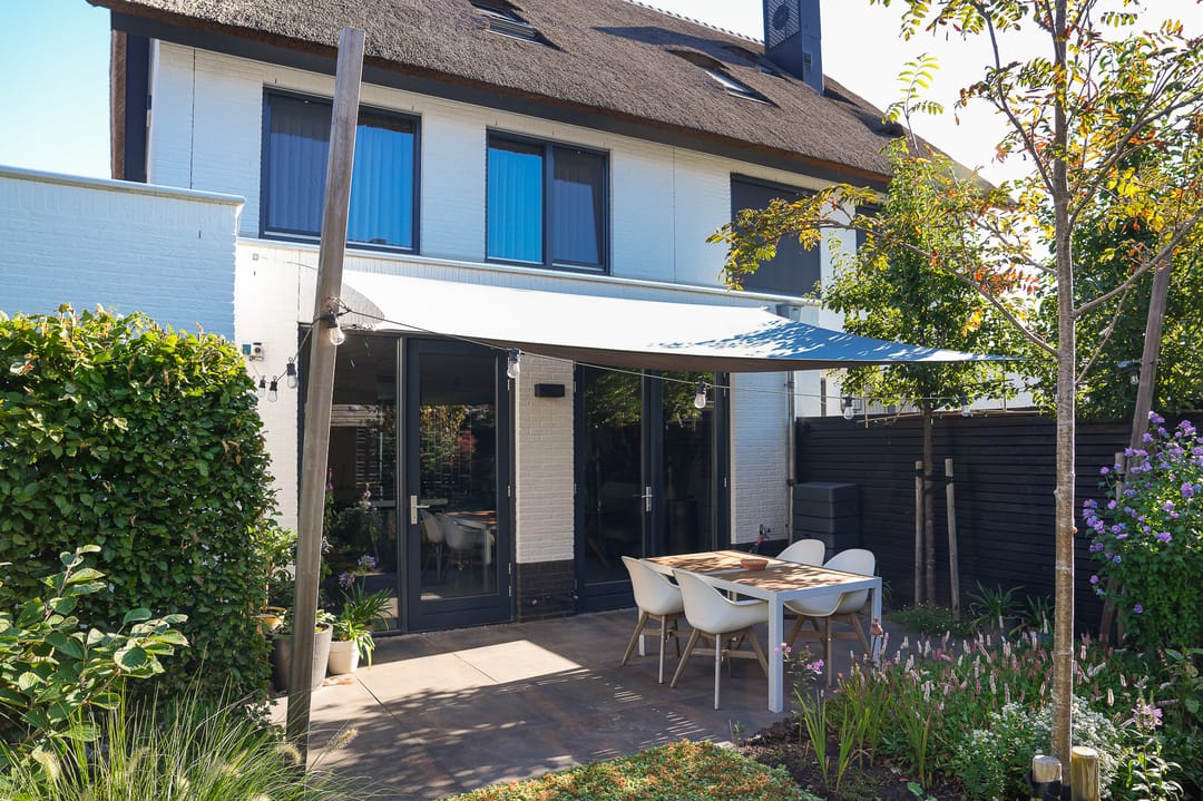 Foto 2 van Zwarte Roodstaart 12