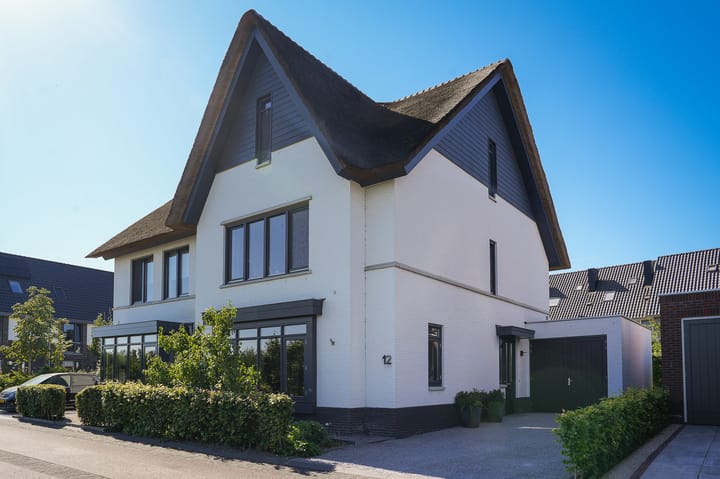 Foto 3 van Zwarte Roodstaart 12