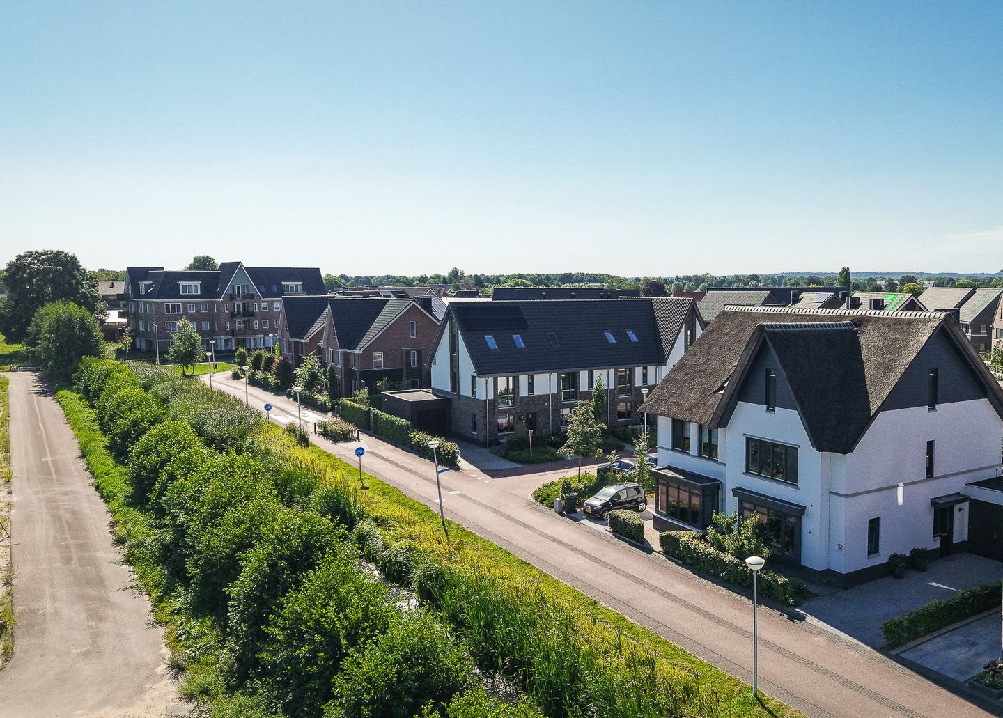 Foto 4 van Zwarte Roodstaart 12