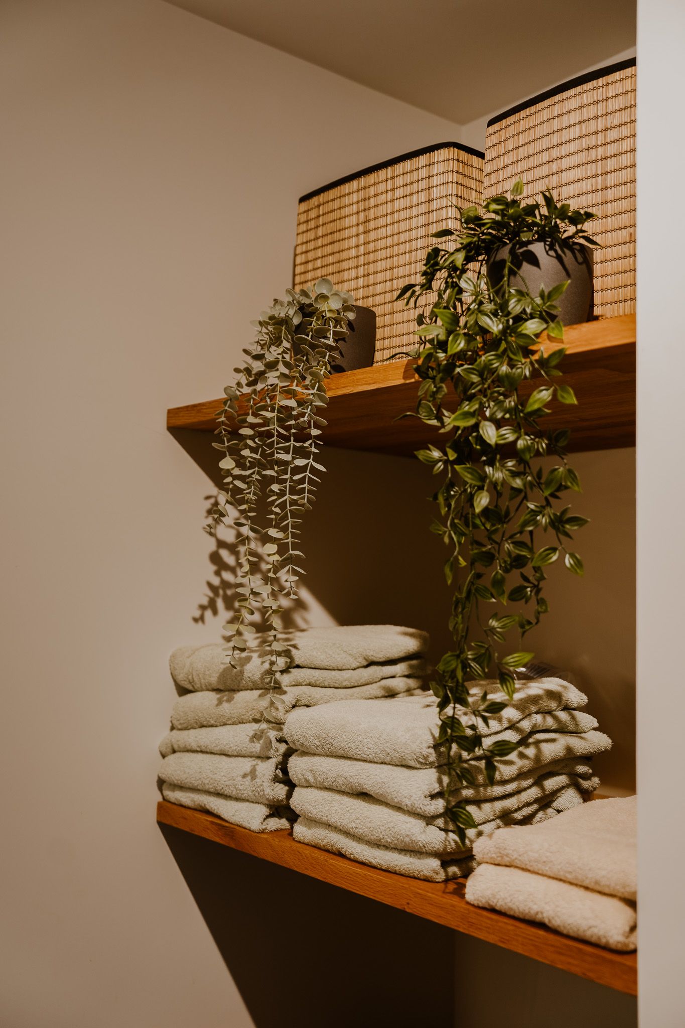 Foto 30 van Zwarte Roodstaart 12