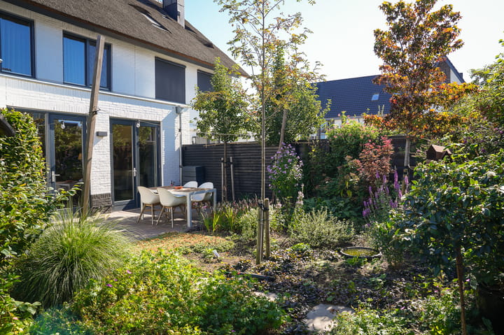 Foto 34 van Zwarte Roodstaart 12