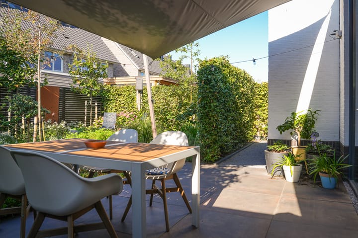 Foto 37 van Zwarte Roodstaart 12