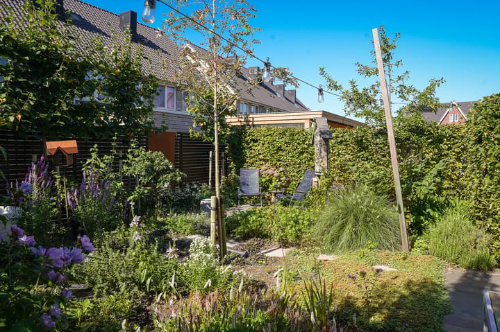 Foto 36 van Zwarte Roodstaart 12