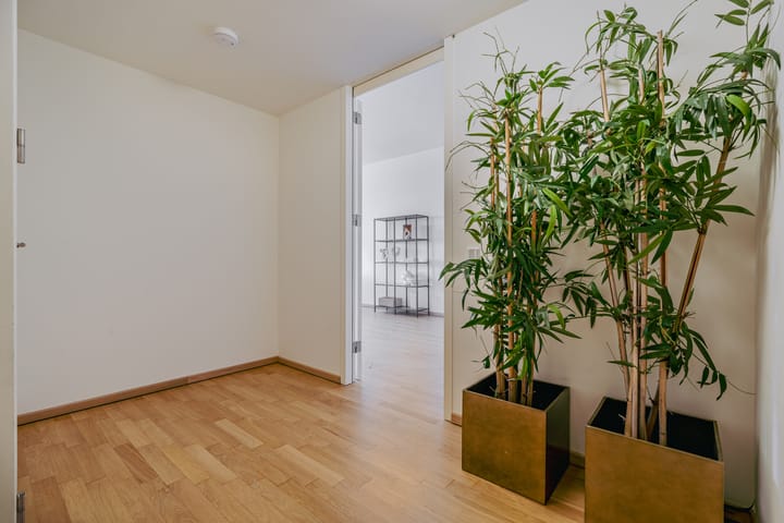 Photo 6 of Gustav Mahlerlaan 212