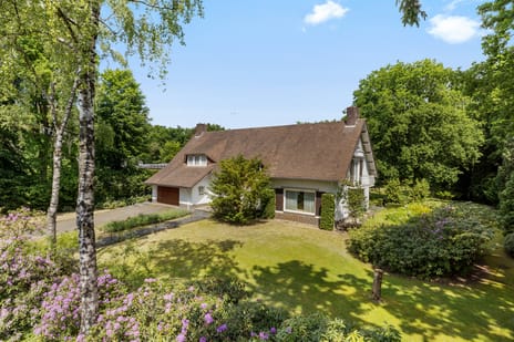 Nachtegaallaan thumbnail