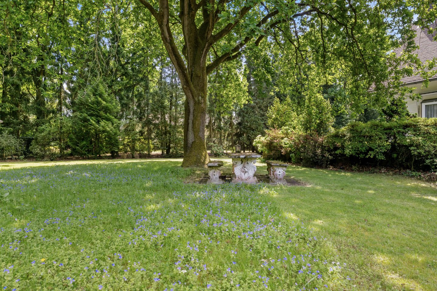 Foto 40 van Nachtegaallaan 3