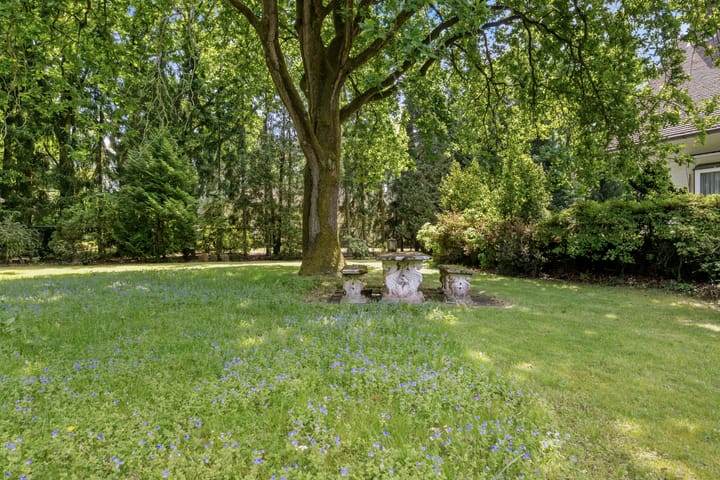 Foto 40 van Nachtegaallaan 3