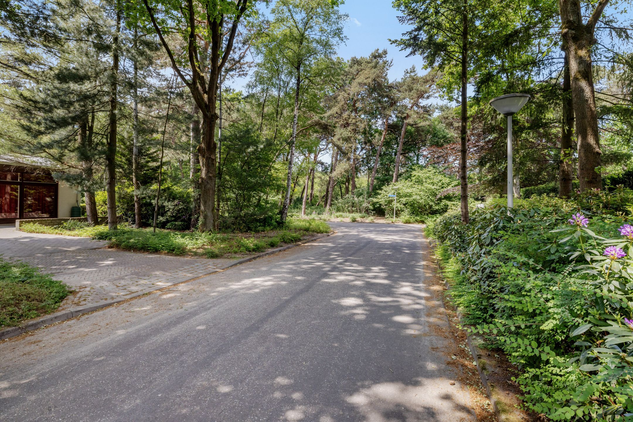 Foto 48 van Nachtegaallaan 3