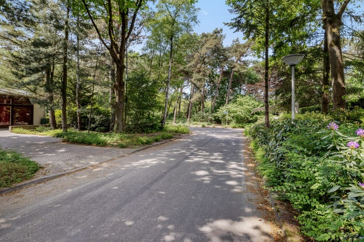 Foto 48 van Nachtegaallaan 3