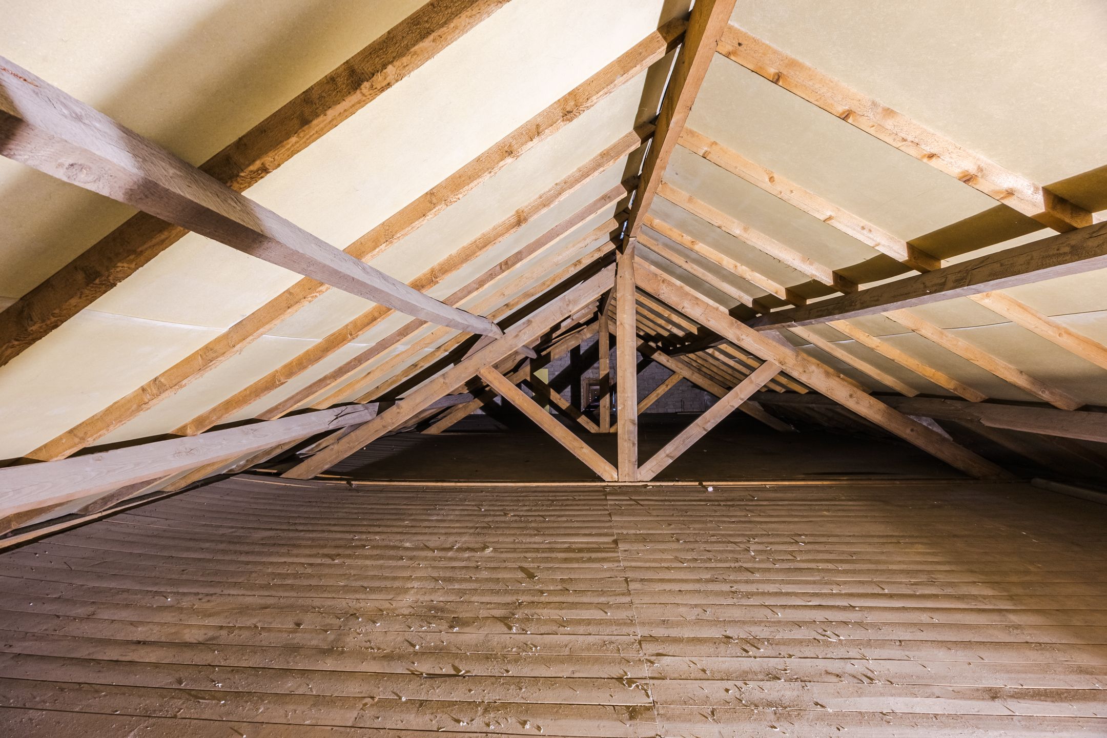 Foto 42 van Elisabethstraat 37