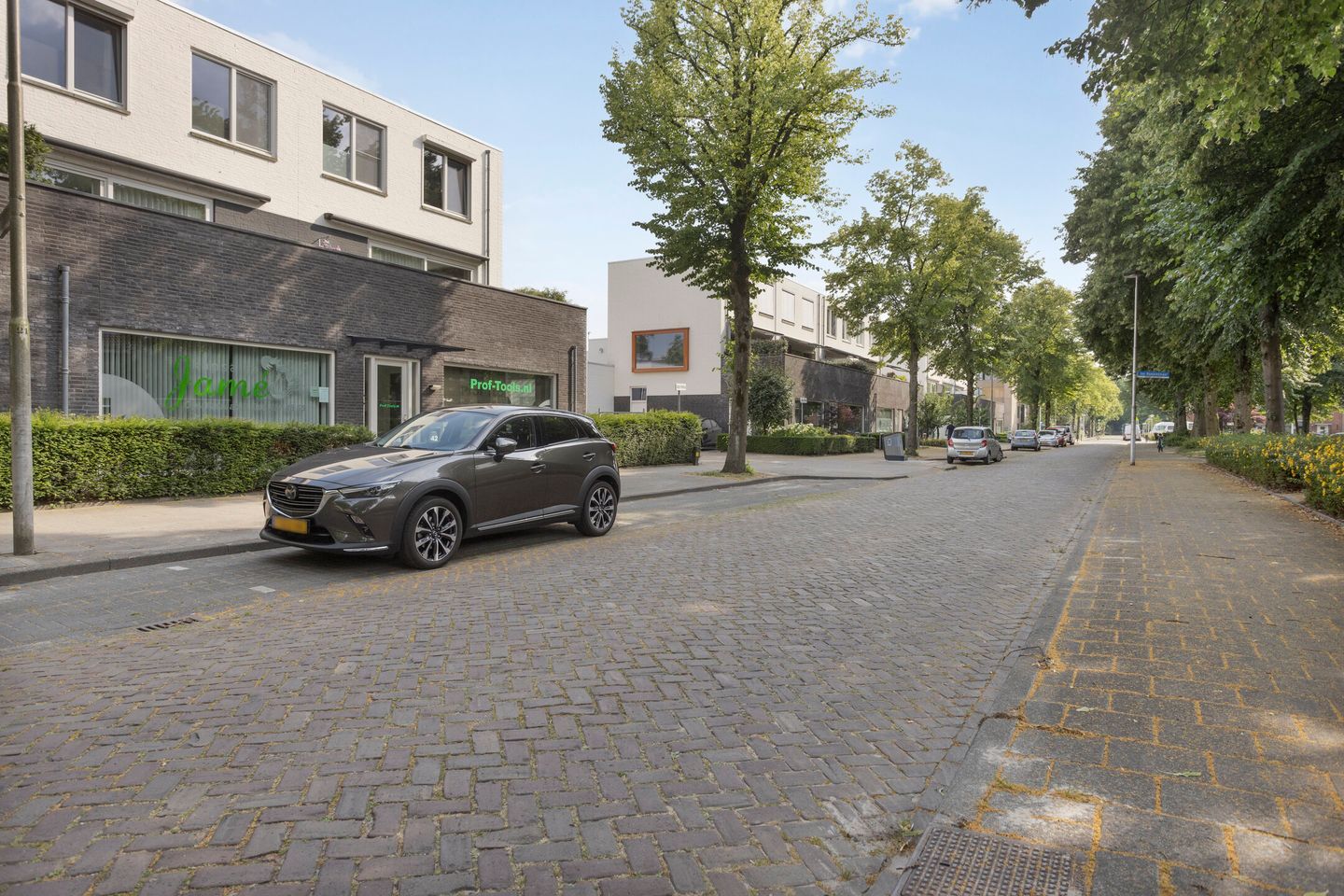 Foto 44 van Jan Romeinstraat 40