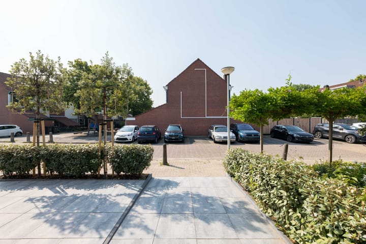 Foto 33 van de Iep 27