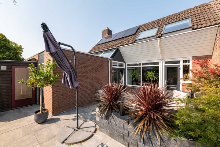 Foto 41 van de Iep 27