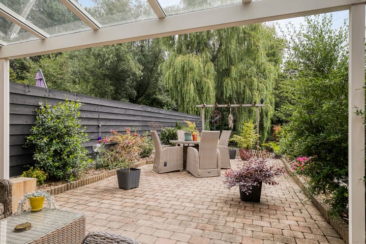 Foto 5 van Zebraspoor 647