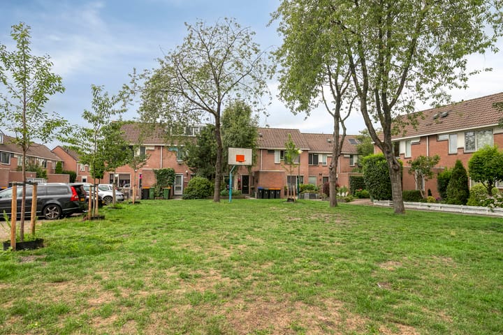 Foto 25 van Zebraspoor 647