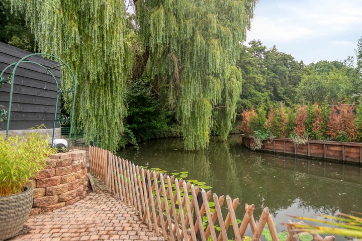 Foto 20 van Zebraspoor 647