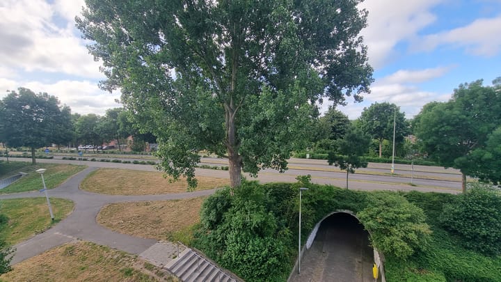 Foto 12 van Eikenhorst 419