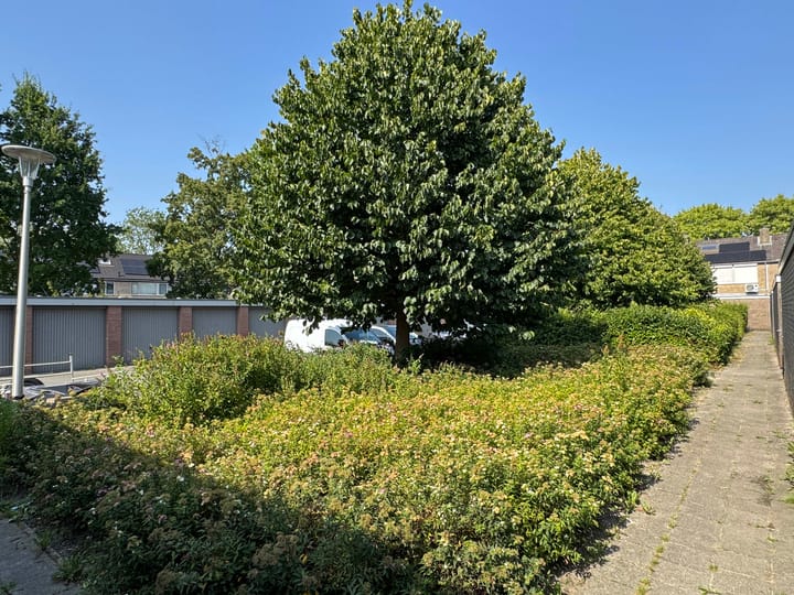 Foto 14 van E E G laan 17