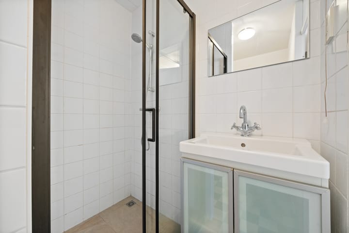 Foto 21 van Groenestraat 219-A