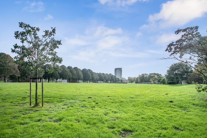 Foto 33 van Turnhoutplantsoen 27