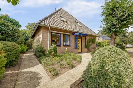 undefined main image