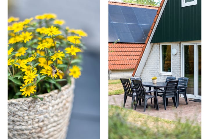 Foto 12 van Boslaan 1-R79