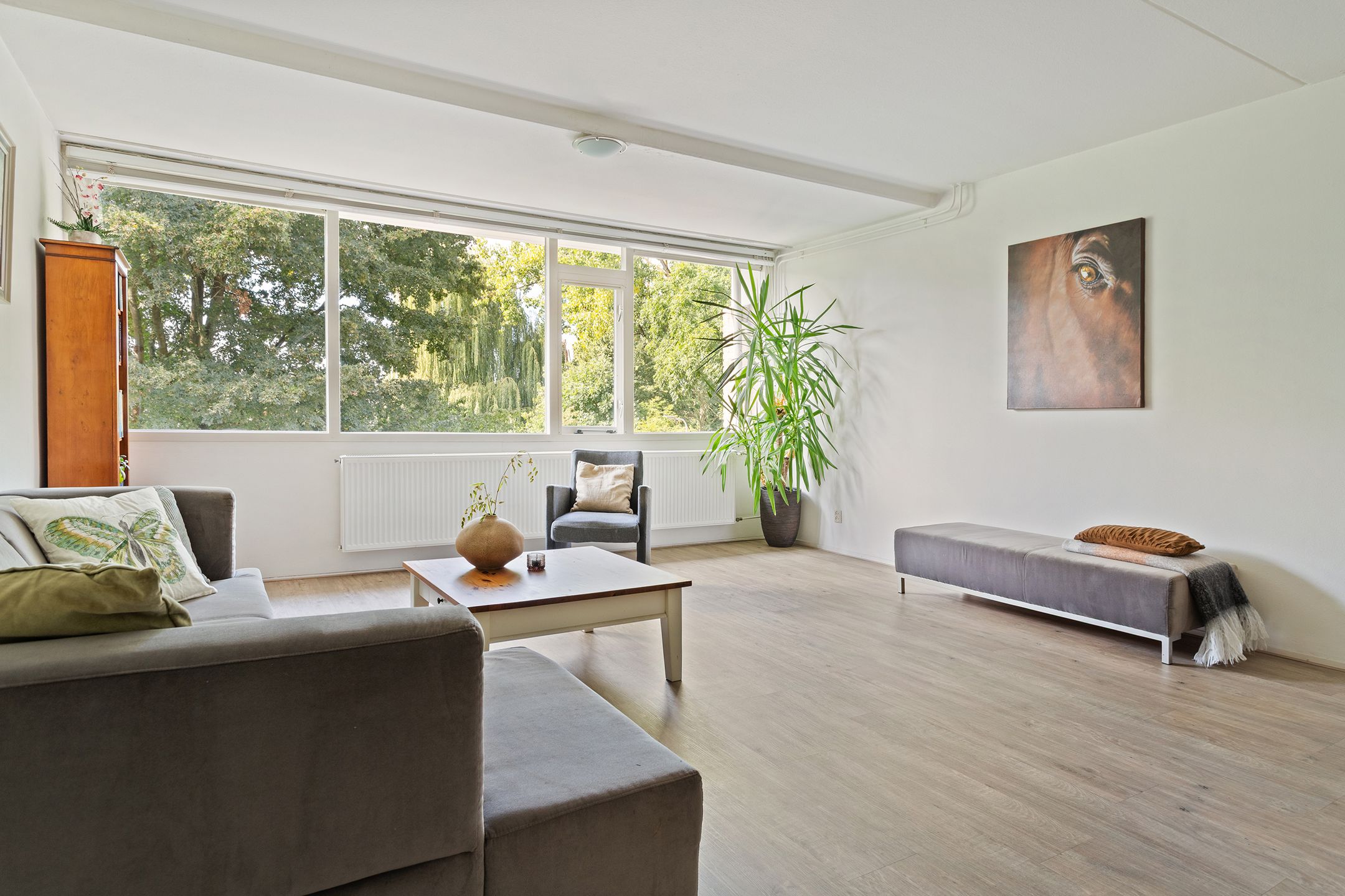 Photo 9 of Nijenheim 3285