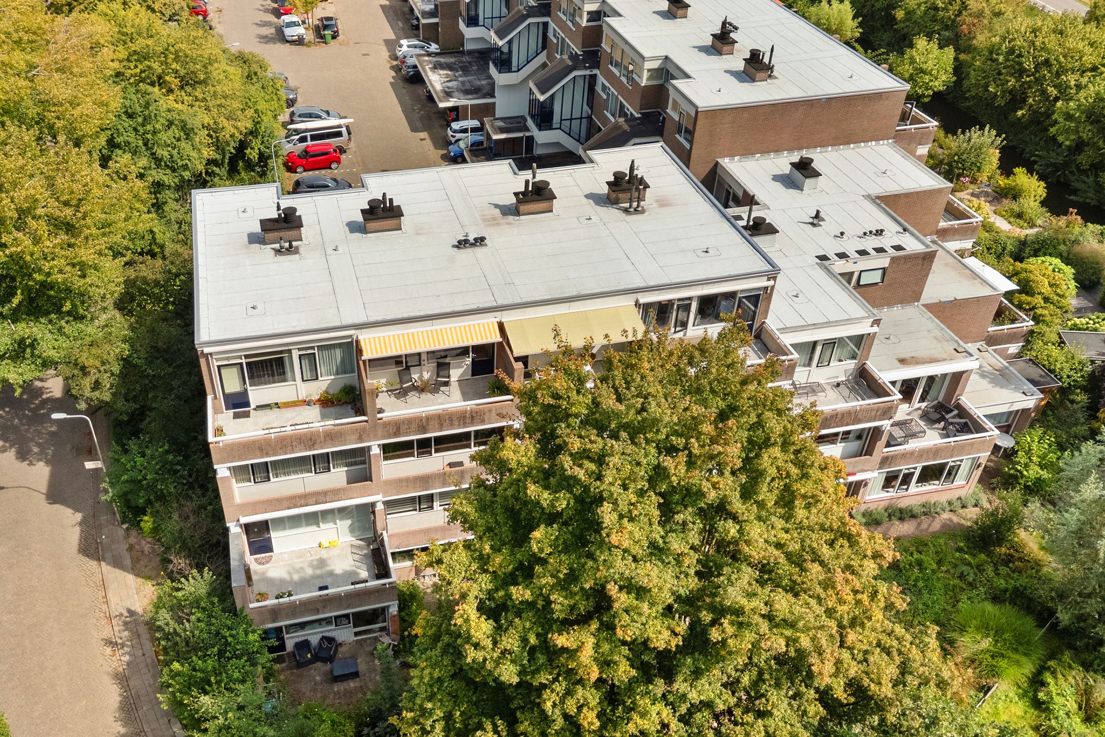 Photo 39 of Nijenheim 3285