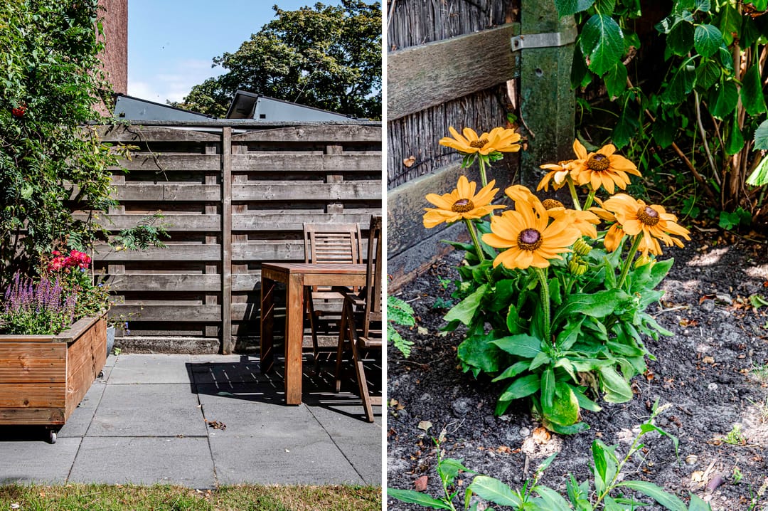 Foto 16 van Amandelstraat 11