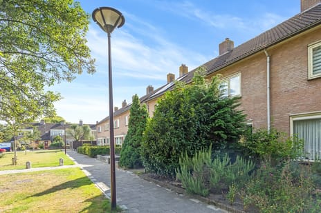 undefined main image