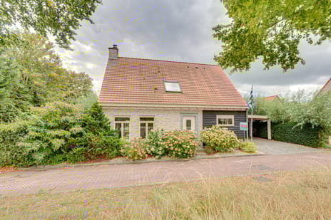 undefined main image