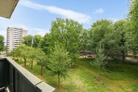 Ierlandstraat thumbnail