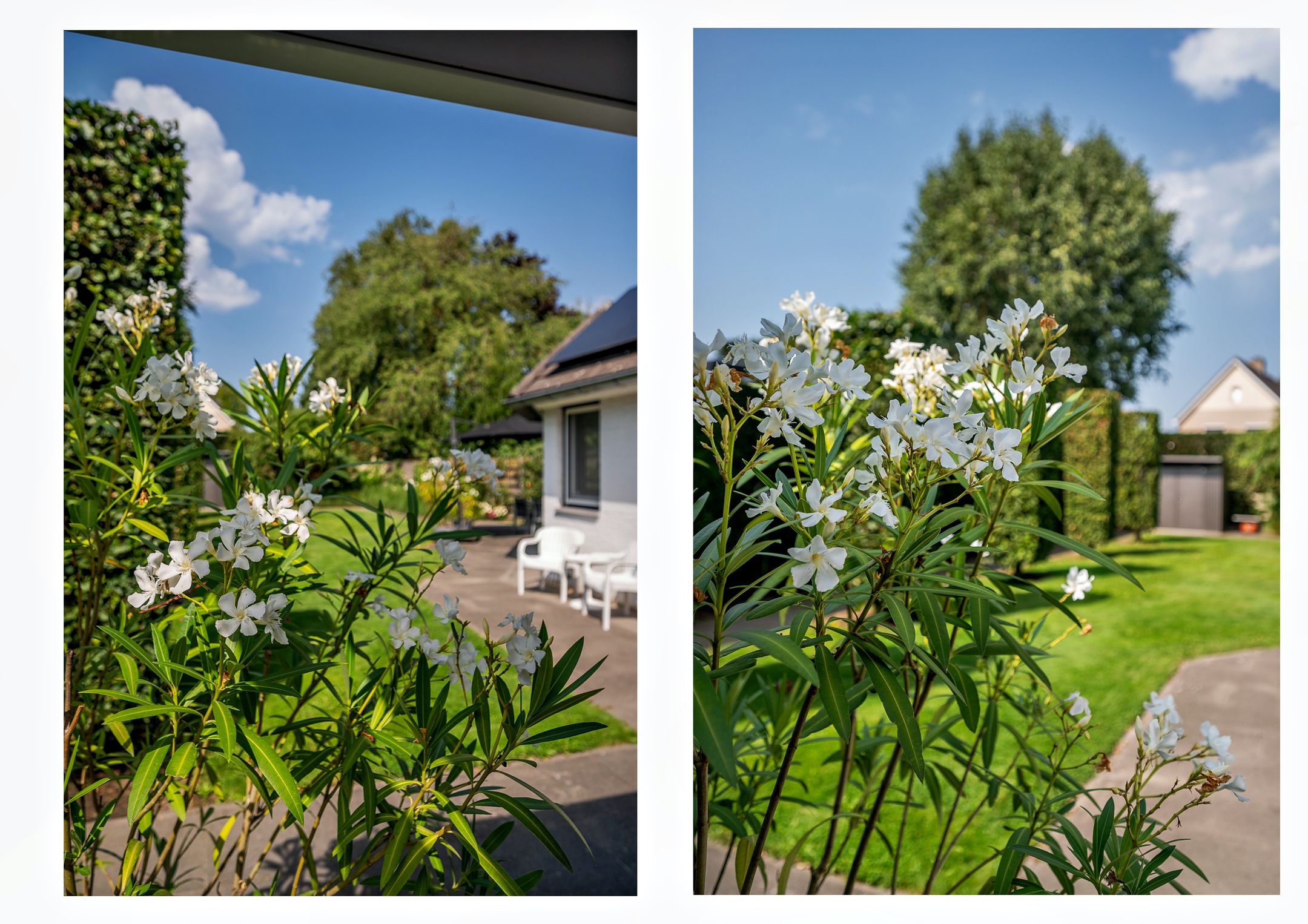 Photo 48 of Mellenakkerweg 3
