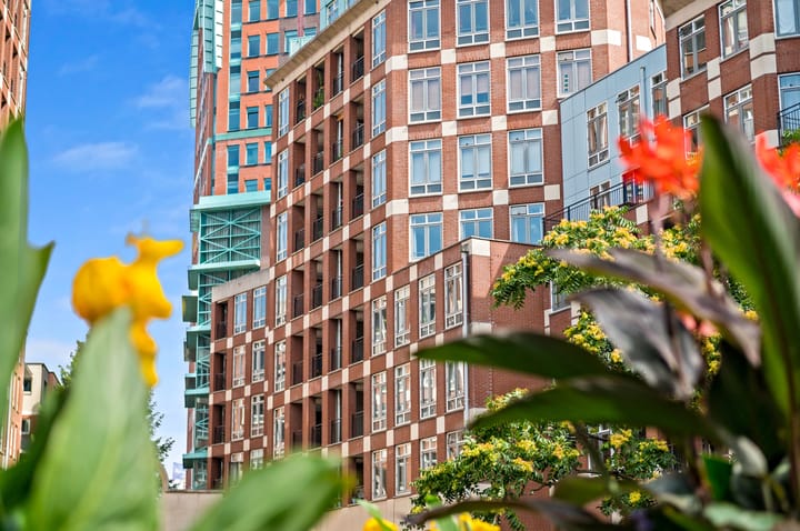 Foto 4 van Muzenplein 109