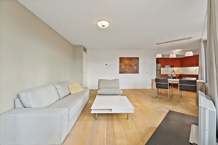 Foto 6 van Muzenplein 109