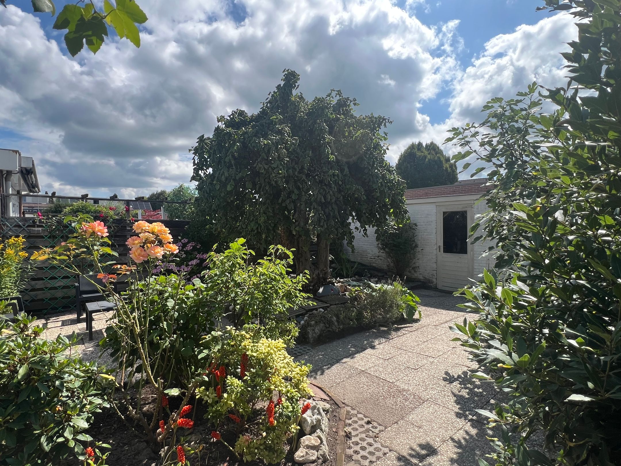 Foto 6 van Burggraaf Zwederlaan 26