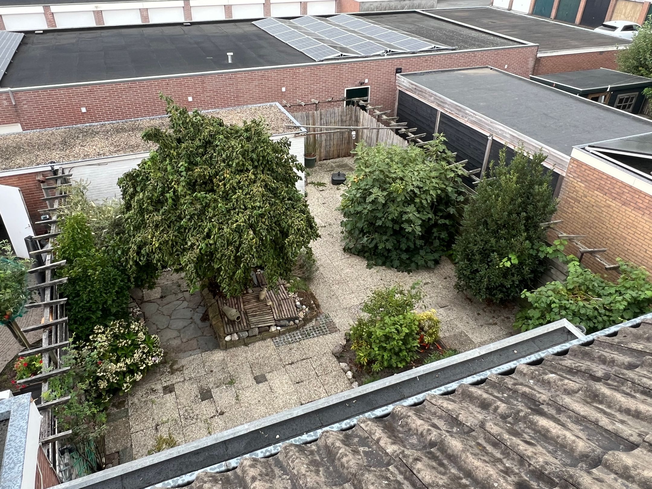 Foto 24 van Burggraaf Zwederlaan 26