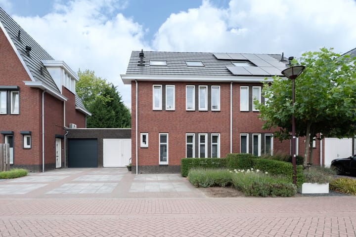 Foto 3 van Steenarend 9