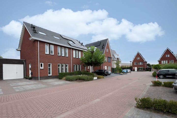 Foto 4 van Steenarend 9