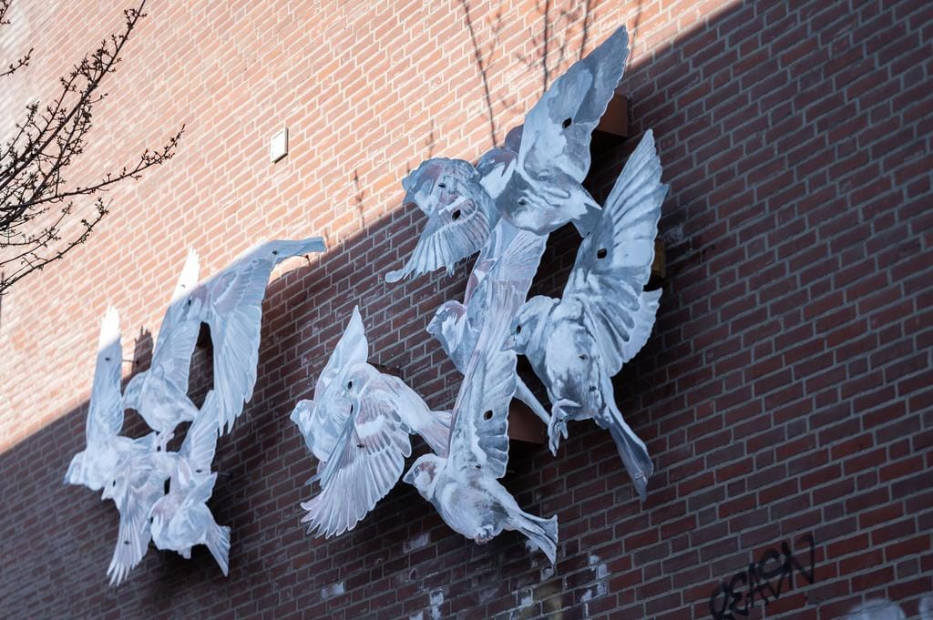 Foto 53 van Heilige Geeststraat 20-A