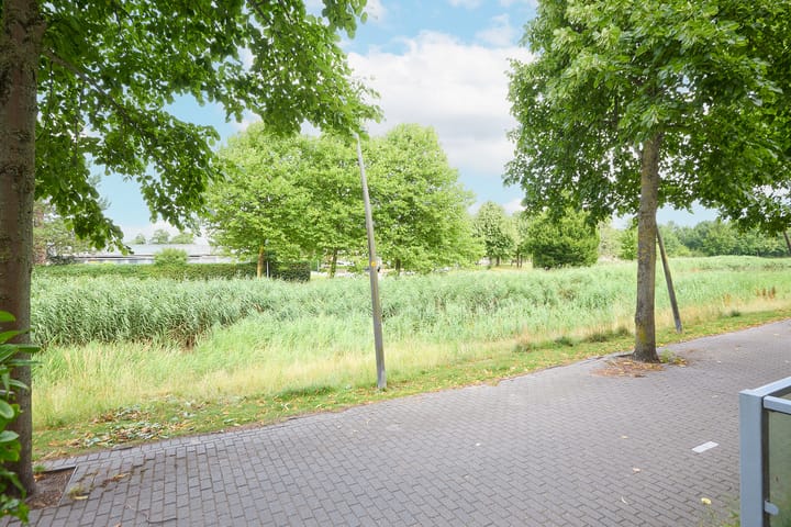 Photo 13 of Nabuccosingel 1