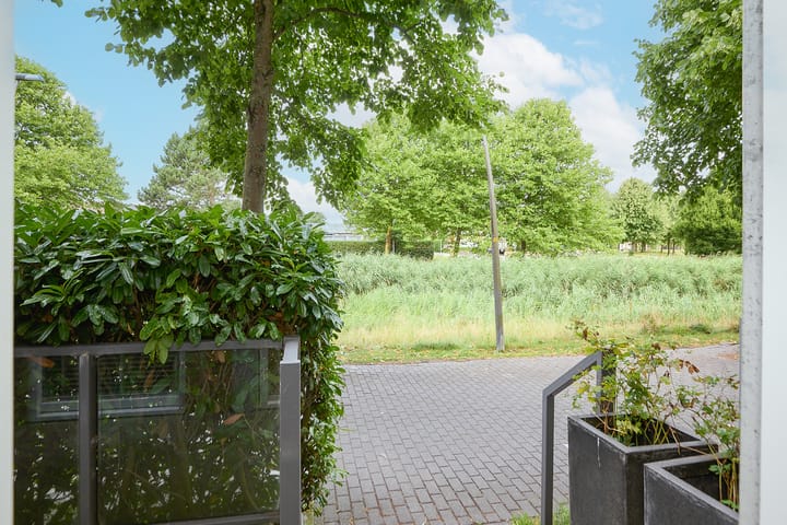 Photo 17 of Nabuccosingel 1