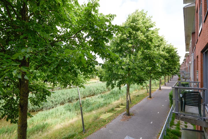 Photo 50 of Nabuccosingel 1