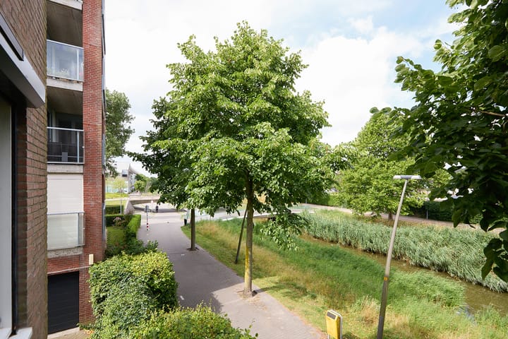 Photo 51 of Nabuccosingel 1