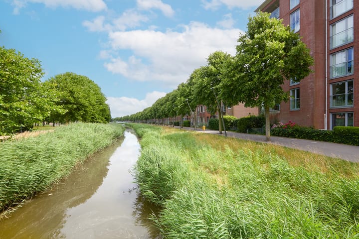 Photo 76 of Nabuccosingel 1