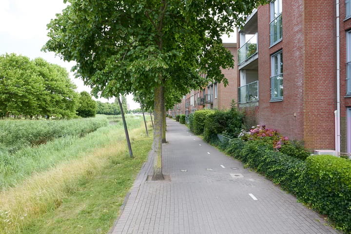 Photo 77 of Nabuccosingel 1